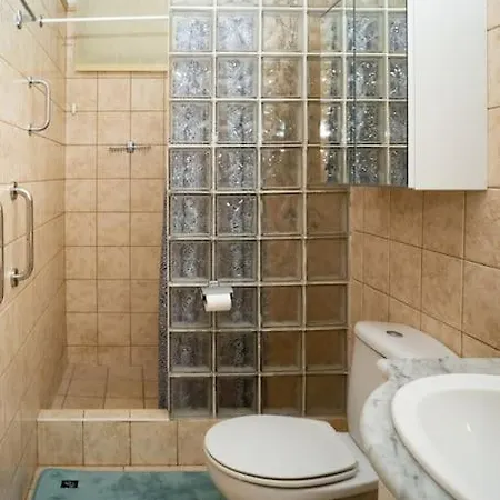 Delfin Bambi Gigantes