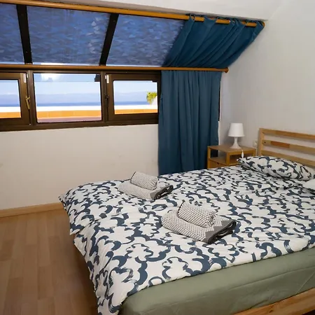 Delfin Bambi Gigantes Santiago del Teide