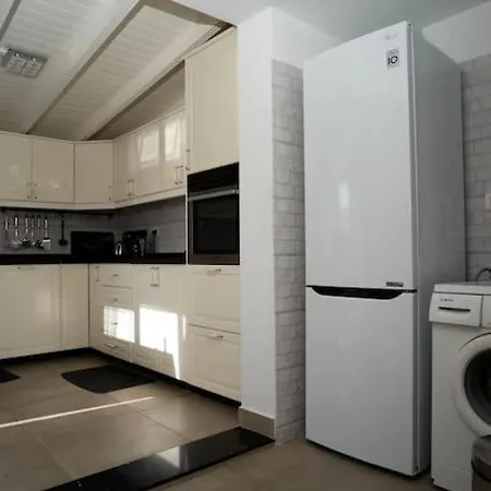 Delfin Bambi Gigantes * Santiago del Teide